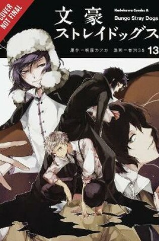 Cover of Bungo Stray Dogs, Vol. 13