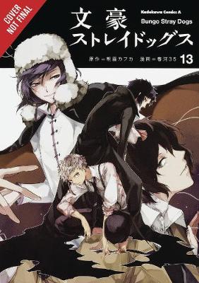 Book cover for Bungo Stray Dogs, Vol. 13