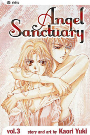 Angel Sanctuary, Vol. 3