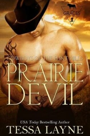 Cover of Prairie Devil