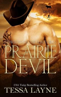 Book cover for Prairie Devil