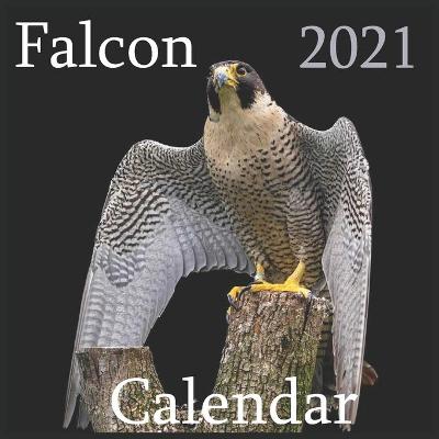 Book cover for Falcon 2021