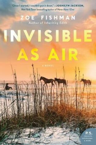 Cover of Invisible as Air