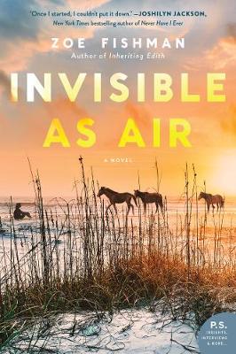 Book cover for Invisible as Air