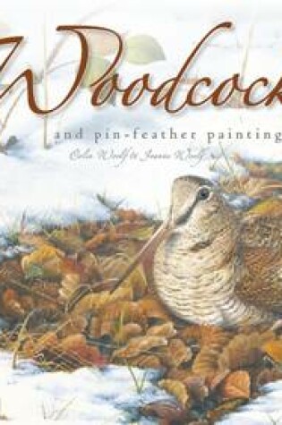 Cover of Woodcock and Pin-Feather Painting