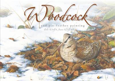 Book cover for Woodcock and Pin-Feather Painting