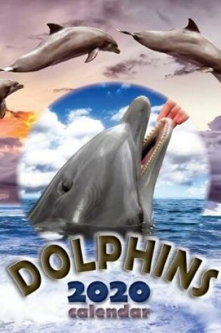 Cover of Dolphins 2020 Calendar