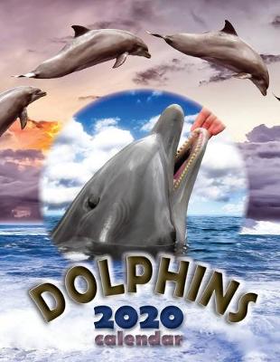 Book cover for Dolphins 2020 Calendar