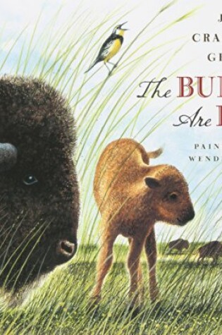 Cover of Buffalo Are Back, the (1 Hardcover/1 CD)