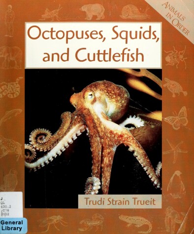 Book cover for Octopuses, Squids, and Cuttlefish