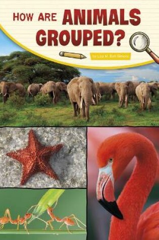 Cover of How Are Animals Grouped?