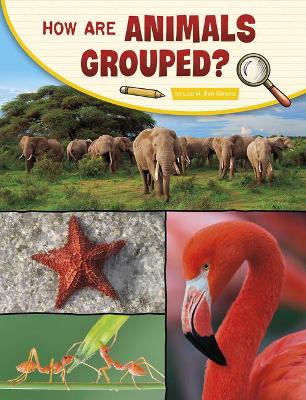 Book cover for How Are Animals Grouped?