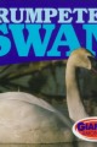 Cover of Trumpeter Swan