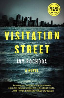 Book cover for Visitation Street