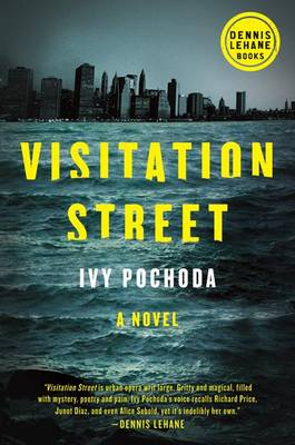 Book cover for Visitation Street