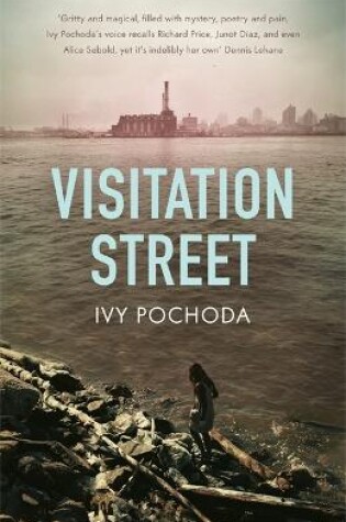 Cover of Visitation Street