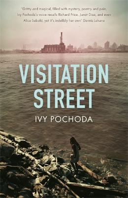 Book cover for Visitation Street