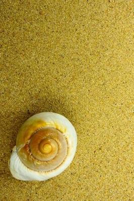 Book cover for Snail Shell on a Florida beach Journal