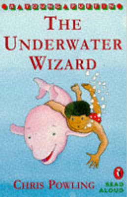 Book cover for The Underwater Wizard