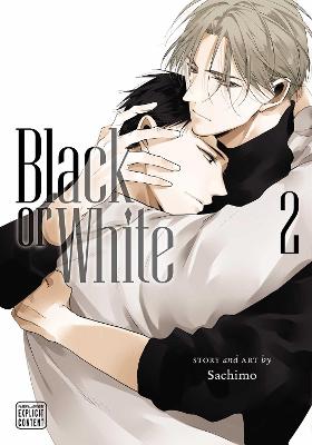 Book cover for Black or White, Vol. 2