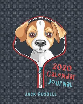 Book cover for Jack Russell