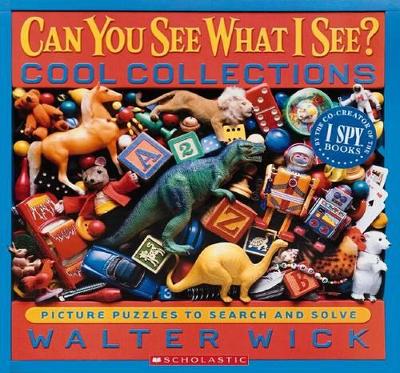 Book cover for Can You See What I See?: Cool Collections