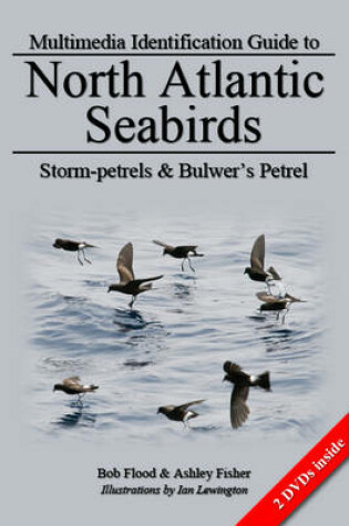 Cover of Storm-Petrels and Bulwer's Petrel