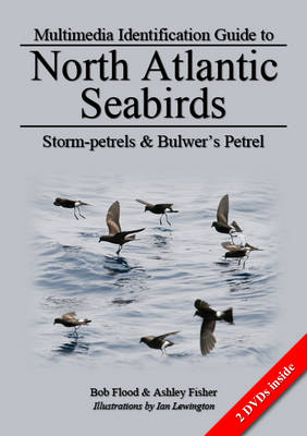 Cover of Storm-Petrels and Bulwer's Petrel