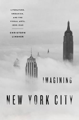 Book cover for Imagining New York City