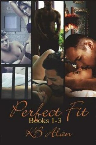Cover of Perfect Fit Books 1-3