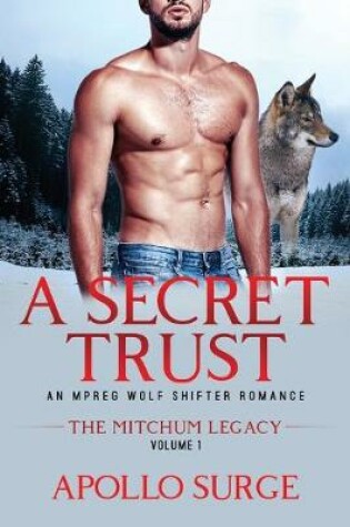 Cover of A Secret Trust