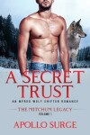 Book cover for A Secret Trust