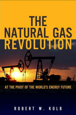 Cover of The Natural Gas Revolution