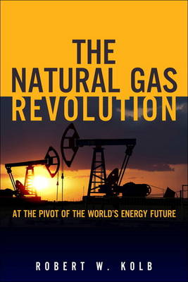 Book cover for The Natural Gas Revolution