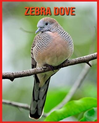 Book cover for Zebra Dove