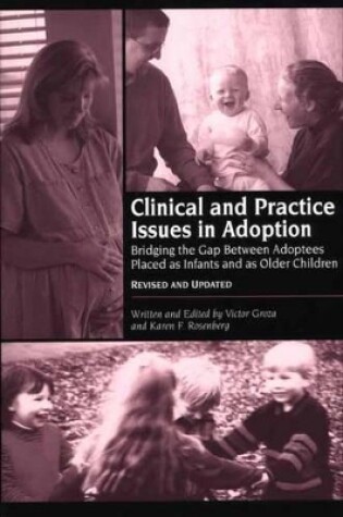 Cover of Clinical and Practice Issues in Adoption