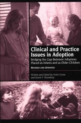 Book cover for Clinical and Practice Issues in Adoption