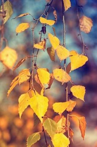 Cover of Yellow Leaves on a Birch Tree Journal