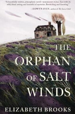 Cover of The Orphan of Salt Winds