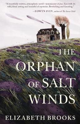 Book cover for The Orphan of Salt Winds