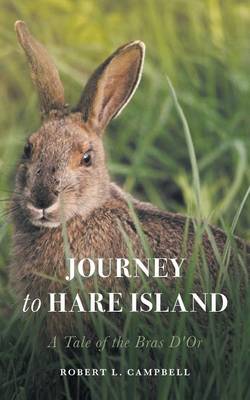 Book cover for Journey to Hare Island