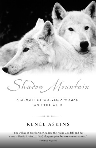 Book cover for Shadow Mountain