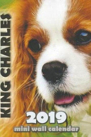 Cover of Cavalier King Charles 2019 Mini Wall Calendar