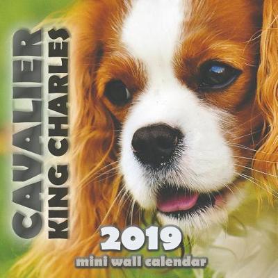 Book cover for Cavalier King Charles 2019 Mini Wall Calendar