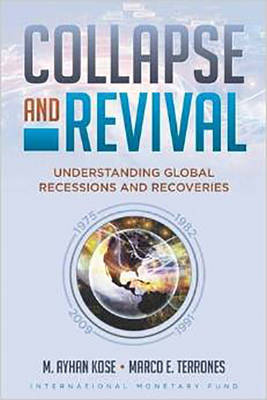 Book cover for Collapse and revival