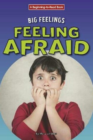 Cover of Feeling Afraid