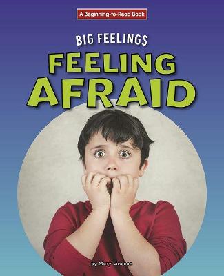 Book cover for Feeling Afraid