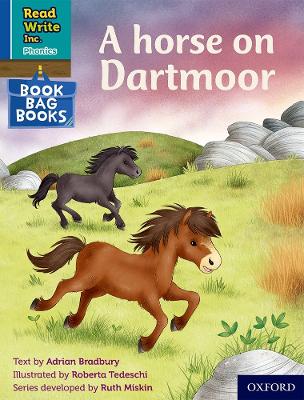 Book cover for Read Write Inc. Phonics: A horse on Dartmoor (Blue Set 6 Book Bag Book 2)