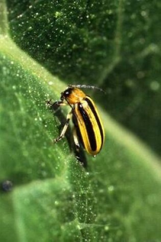 Cover of Acalymma Vittatum Cucumber Beetle Journal