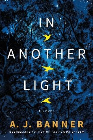 Cover of In Another Light